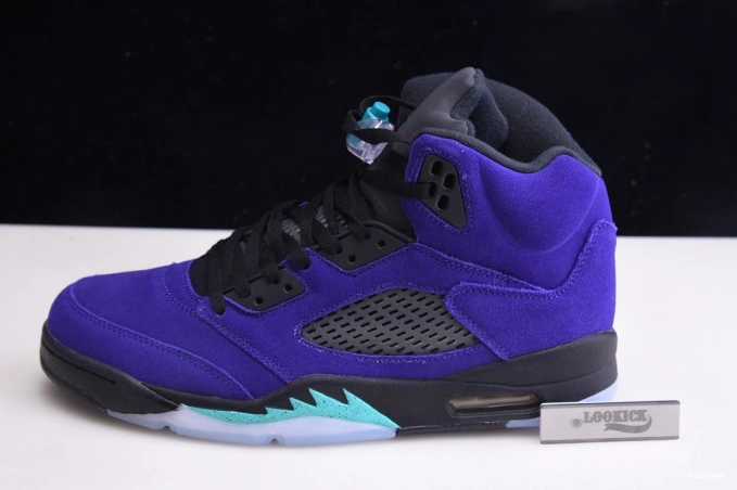 Rep Air Jordan Alternate 136027-500 Retro Grape 5 0811